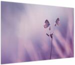 Mivali Tablou - Fluturi mov, dintr-o bucată 100x70 cm (V023913V10070)