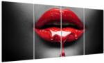 Mivali Tablou cu buze de femeie, din patru bucăți 160x80 cm (V022171V16080)