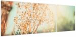 Mivali Tablou - Plante de luncă, din trei bucăți 120x40 cm (V023850V12040)