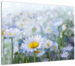 Mivali Tablou pe sticlă - În margaretă, dintr-o bucată 70x50 cm pe sticlă (V021454V7050GD)