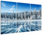 Mivali Tablou cu lacul înghețat și copacii înzăpeziți, din trei bucăți 120x80 cm (V021299V120803PCS)