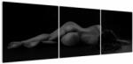 Mivali Tablou - Femeia întinsă nud, din trei bucăți 150x50 cm (V022896V15050)