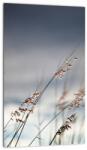 Mivali Tablou -Flori de luncă, dintr-o bucată 20x30 cm (V022190V2030)