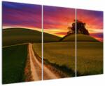 Mivali Tablou câmpului cu apus de soare, din trei bucăți 120x80 cm (V020166V120803PCS)