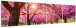 Mivali Tablou - Cireși înfloriți, Hurd Park, Dover, New Jersey, din patru bucăți 160x40 cm (V022582V16040)