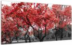 Mivali Tablou pe sticlă - Copacii roșii, Central Park, New York, dintr-o bucată 100x50 cm pe sticlă (V022930V10050GD)