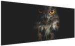 Mivali Tablou cu bufnița, dintr-o bucată 250x125 cm (V020966V250125)