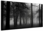 Mivali Tablou - Pădure în ceață, dintr-o bucată 120x70 cm (V023566V12070)