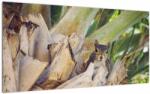 Mivali Tablou pe sticlă cu veverița în copaci, dintr-o bucată 100x50 cm pe sticlă (V021177V10050GD)