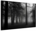 Mivali Tablou - Pădure în ceață, dintr-o bucată 100x70 cm (V023566V10070)
