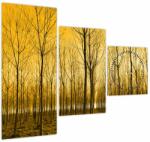 Mivali Tablou cu pădure în apus de soare (cu ceas), din trei bucăți 90x70 cm cu ceas (V020905V9070C)