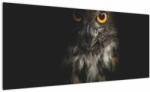 Mivali Tablou cu bufnița, dintr-o bucată 100x40 cm (V020966V10040)
