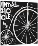 Mivali Tablou pe sticlă - Velociped (V023590V3030GD)