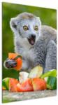 Mivali Tablou cu lemur, dintr-o bucată 60x90 cm (V021127V6090)