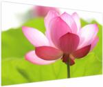 Mivali Tablou cu flori de lotus, dintr-o bucată 150x100 cm (V021697V150100)