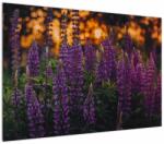 Mivali Tablou - Flori de lupin, dintr-o bucată 100x70 cm (V022614V10070)