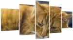 Mivali Tablou cu pisica (cu ceas), din cinci bucăți 150x80 cm cu ceas (V020192V15080C)