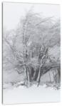Mivali Tablou - Iarnă albă, dintr-o bucată 20x30 cm (V022824V2030)