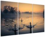 Mivali Tablou cu lebăde pe apă în ceață, din trei bucăți 120x80 cm (V020989V120803PCS)