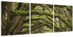 Mivali Tablou - Oaks Avenue, Charleston, Carolina de Sud, SUA (cu ceas), din trei bucăți 90x30 cm cu ceas (V023285V9030C)