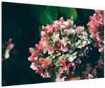Mivali Tablou - Hortensie, dintr-o bucată 90x60 cm (V022573V9060)