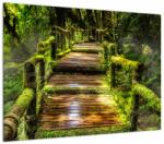 Mivali Tablou cu scări într-o pădure tropicală, dintr-o bucată 70x50 cm (V020941V7050)