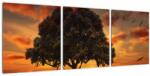 Mivali Tablou cu pomi și apus de soare, din trei bucăți 90x30 cm (V022122V9030)