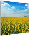 Mivali Tablou - câmp cu floarea soarelui, dintr-o bucată 70x70 cm (V020250V7070)