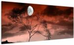 Mivali Tablou - Luna luminează noaptea, dintr-o bucată 100x40 cm (V021931V10040)