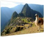 Mivali Tablou - Lama și Machu Picchu, dintr-o bucată 120x80 cm (V023712V12080)