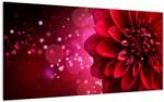 Mivali Tablou pe sticlă cu floare roșie, dintr-o bucată 100x50 cm pe sticlă (V020807V10050GD)
