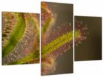 Mivali Tablou cu plantă, din trei bucăți 90x60 cm (V020984V90603PCS)