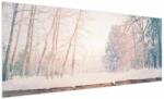 Mivali Tablou - Priveliște pădure, dintr-o bucată 250x125 cm (V023809V250125)