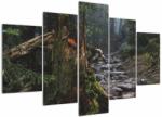 Mivali Tablou - În pădure, din cinci bucăți 150x105 cm (V021577V150105)