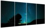 Mivali Tablou cu cerul nocturn și stele, din patru bucăți 160x80 cm (V021100V16080)