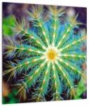 Mivali Tablou cu cactus, dintr-o bucată 40x40 cm (V020556V4040)