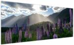 Mivali Tablou - scenariu cu flori de Lupin, dintr-o bucată 250x125 cm (V021566V250125)