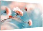 Mivali Tablou - Buburuze pe floare, dintr-o bucată 120x70 cm (V022367V12070)