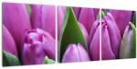 Mivali Tablou - florile lalelelor, din trei bucăți 90x30 cm (V020194V9030)