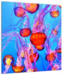 Mivali Tablou cu meduse în mare, dintr-o bucată 40x40 cm (V021149V4040)