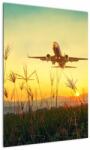 Mivali Tablou cu avion zburând, dintr-o bucată 50x70 cm (V020504V5070)