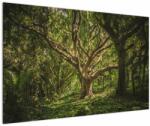 Mivali Tablou cu copaci, dintr-o bucată 120x80 cm (V021216V12080)
