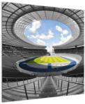 Mivali Tablou - stadionul de fodbal, dintr-o bucată 70x70 cm (V020597V7070)