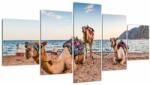 Mivali Tablou cu cămile, din cinci bucăți 150x80 cm (V022121V150805PCS)
