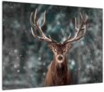 Mivali Tablou - Cerbul majestic, dintr-o bucată 70x50 cm (V022092V7050)