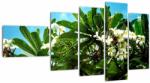 Mivali Tablou - Plumeria, din cinci bucăți 110x60 cm (V021519V11060)