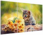 Mivali Tablou cu pisicuța uitându-se la floare, din trei bucăți 120x80 cm (V020943V120803PCS)
