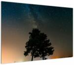Mivali Tablou cu cerul nocturn și copaci, dintr-o bucată 100x70 cm (V020879V10070)