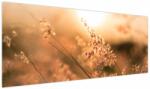 Mivali Tablou - Iarbă la soare, dintr-o bucată 145x58 cm (V023919V14558)