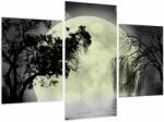 Mivali Tablou - Lună plină deasupra apei, din trei bucăți 90x60 cm (V023665V90603PCS)